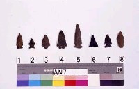 Projectile points Collection Image, Figure 2, Total 2 Figures